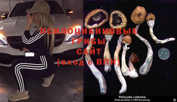 винт Тобольск